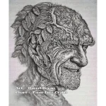 Elmer Whittle (image for) Elmer Whittle